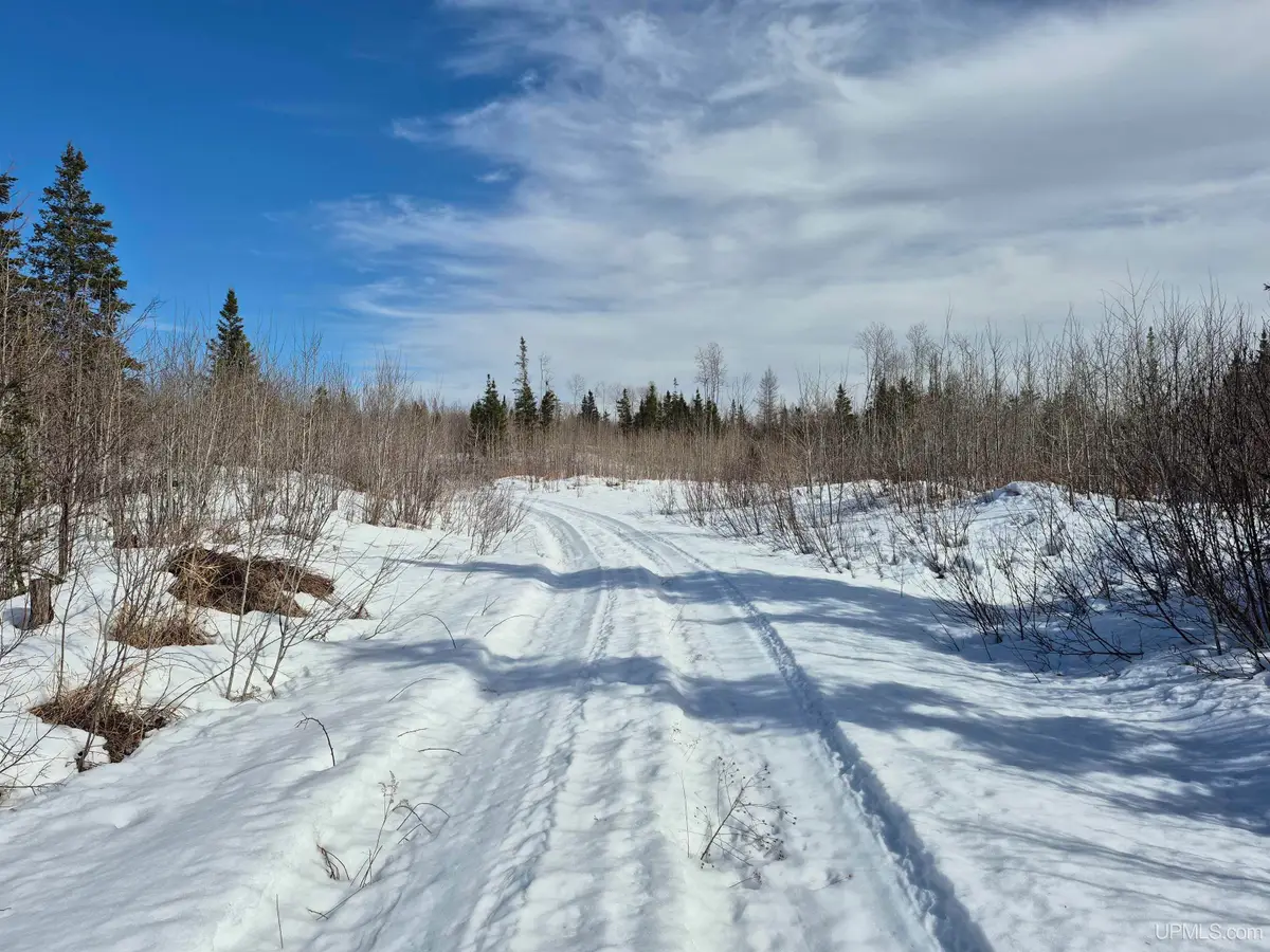 South 60 acres 18, Republic, MI 49879 - #1