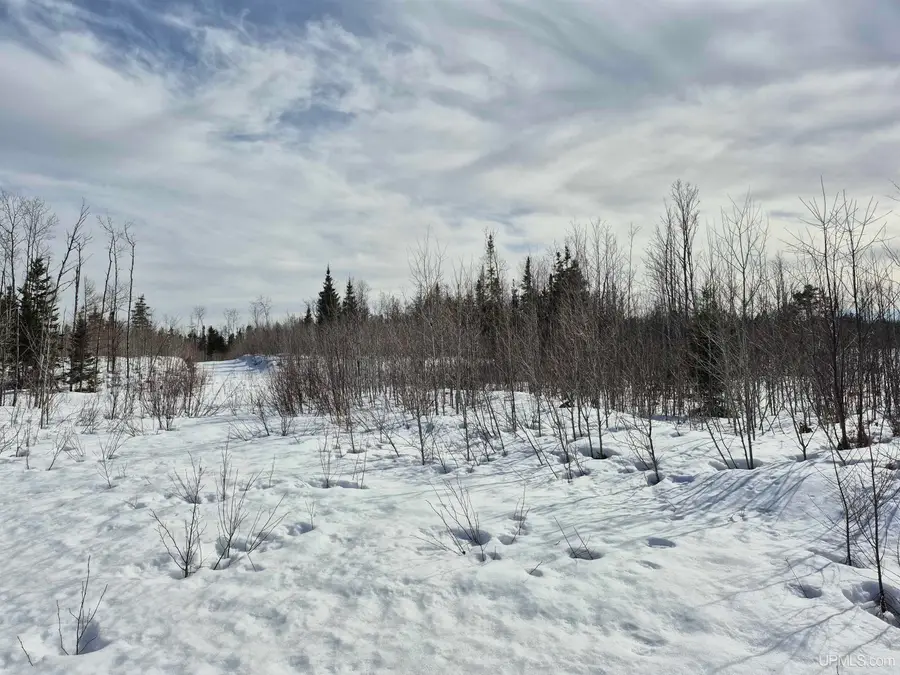 South 60 acres 18, Republic, MI 49879 - #3