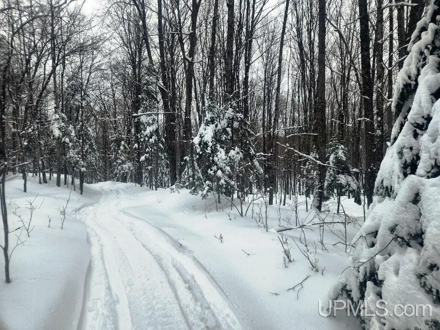 TBD Oss, Crystal Falls, MI 49920 - #2