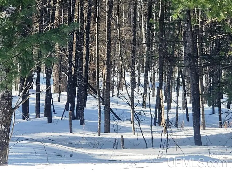 TBD Oss, Crystal Falls, MI 49920 - #3