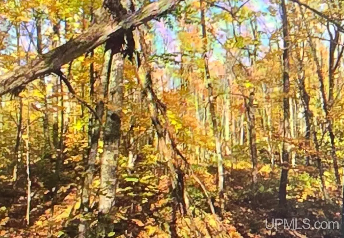 TBD Orange, Nisula, MI 49952 - #1