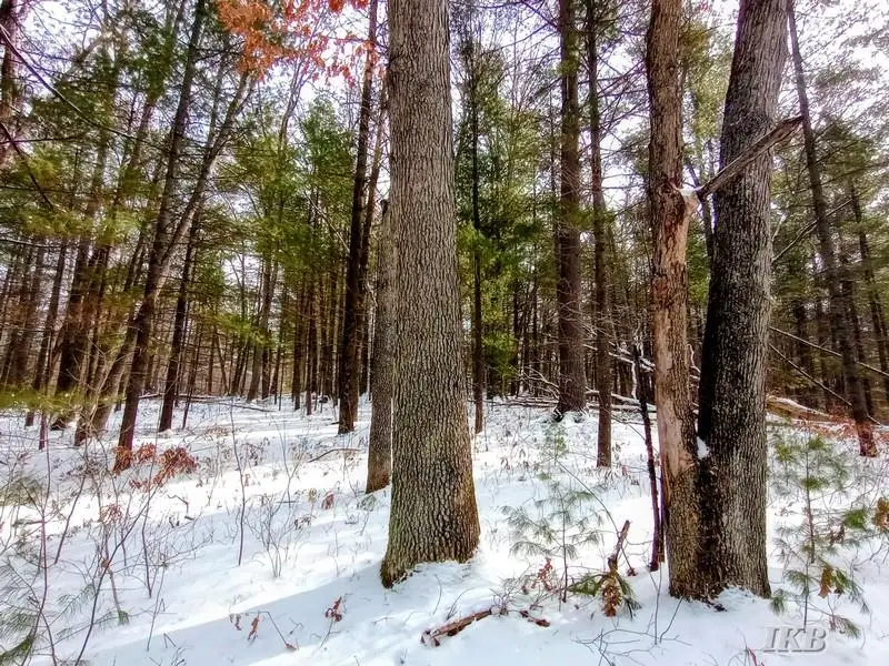 619 Beverly, Harrison, MI 48625 - #3