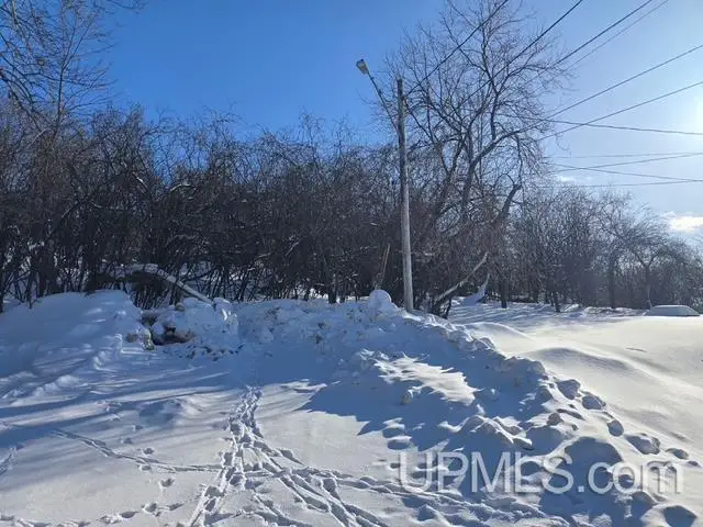 TBD Pewabic, Iron Mountain, MI 49801 - #1