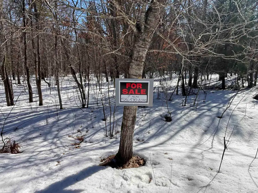 0 Pocahontas, Roscommon, MI 48653 - #2