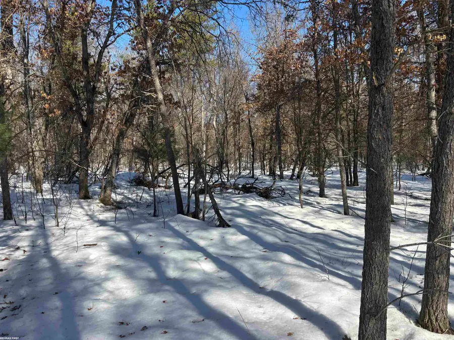 0 Pocahontas, Roscommon, MI 48653 - #3