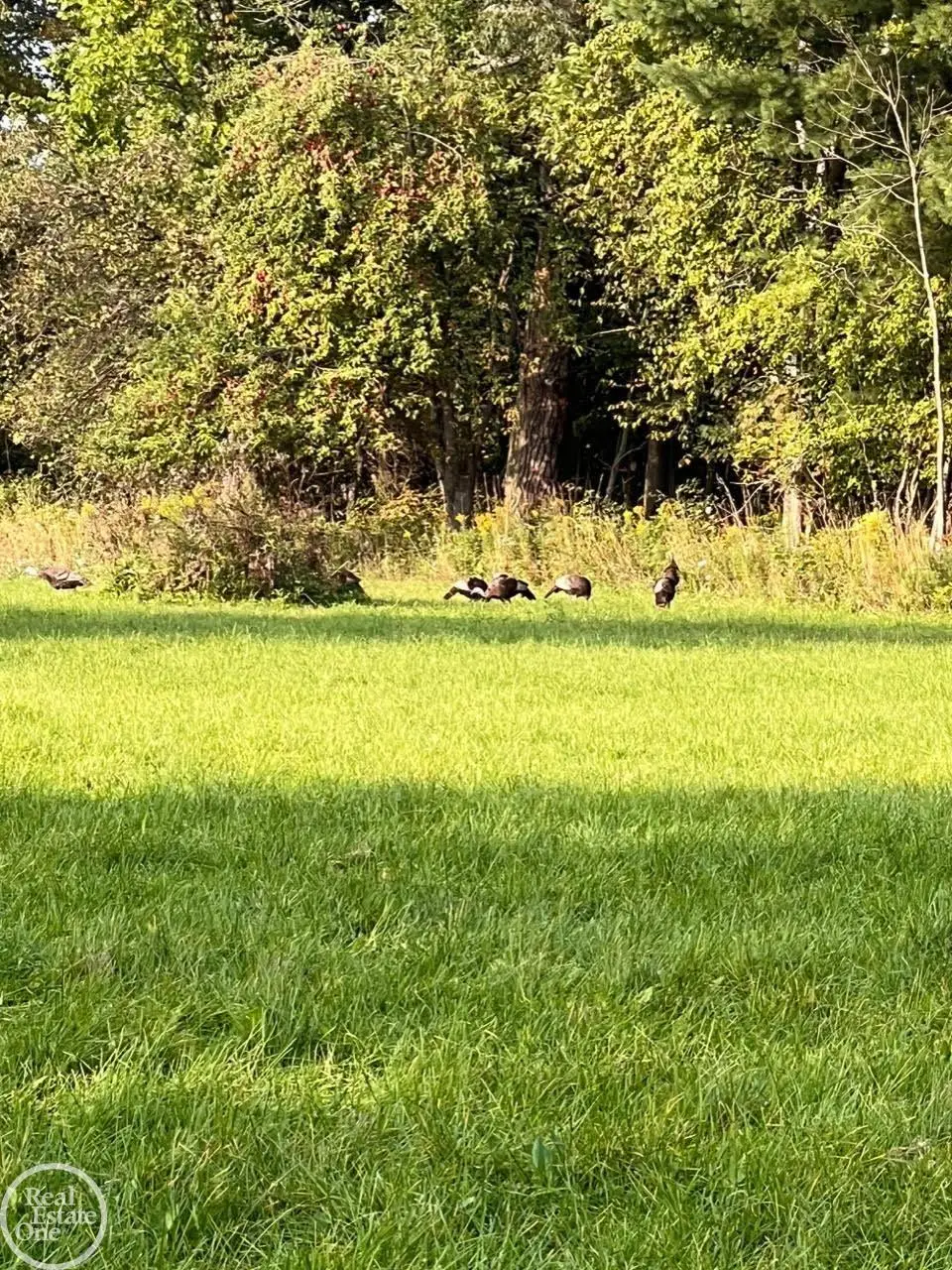 0 Harrington (dot St.), Croswell, MI 48422 - #1