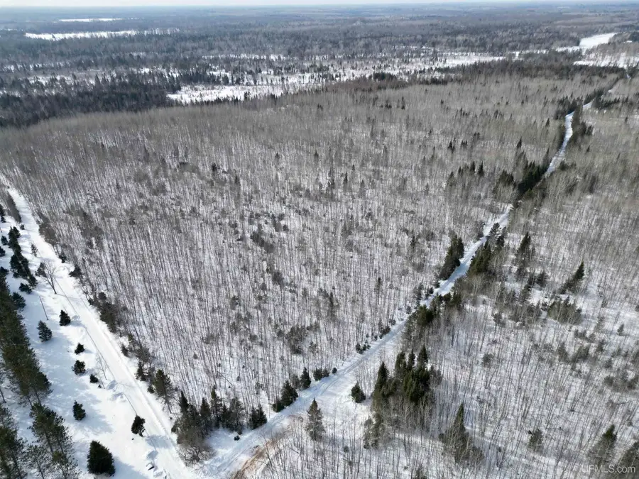 TBD Plantation Ln East 20, Rock, MI 49880 - #2