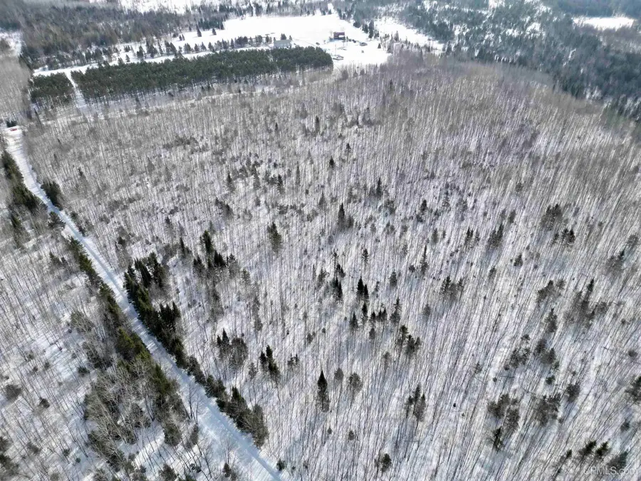 TBD Plantation Ln West 20, Rock, MI 49880 - #3