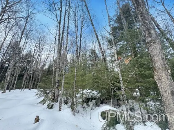 Lot 7 Tamarack Lake, Watersmeet, MI 49969