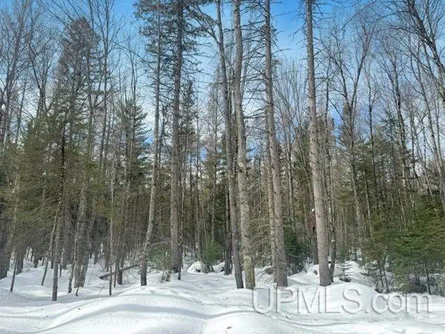 Lot 7 Tamarack Lake, Watersmeet, MI 49969 - #2