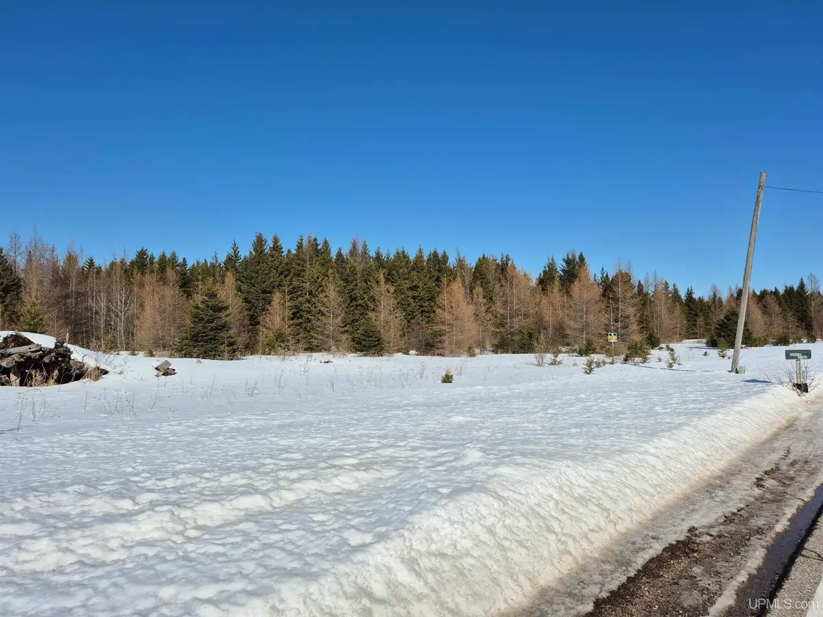 W 80 Acres River, Gulliver, MI 49840 - #1