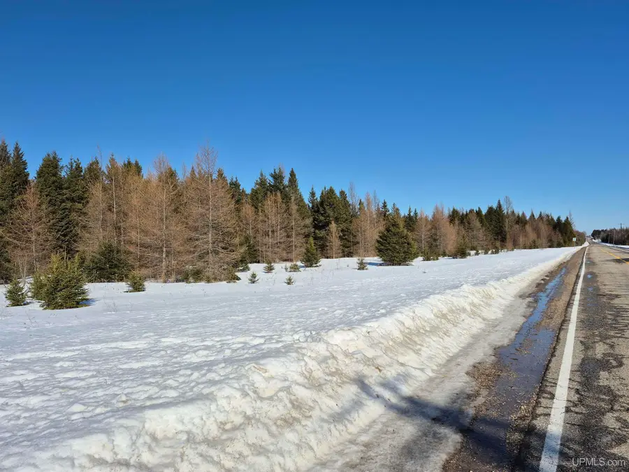 W 80 Acres River, Gulliver, MI 49840 - #2