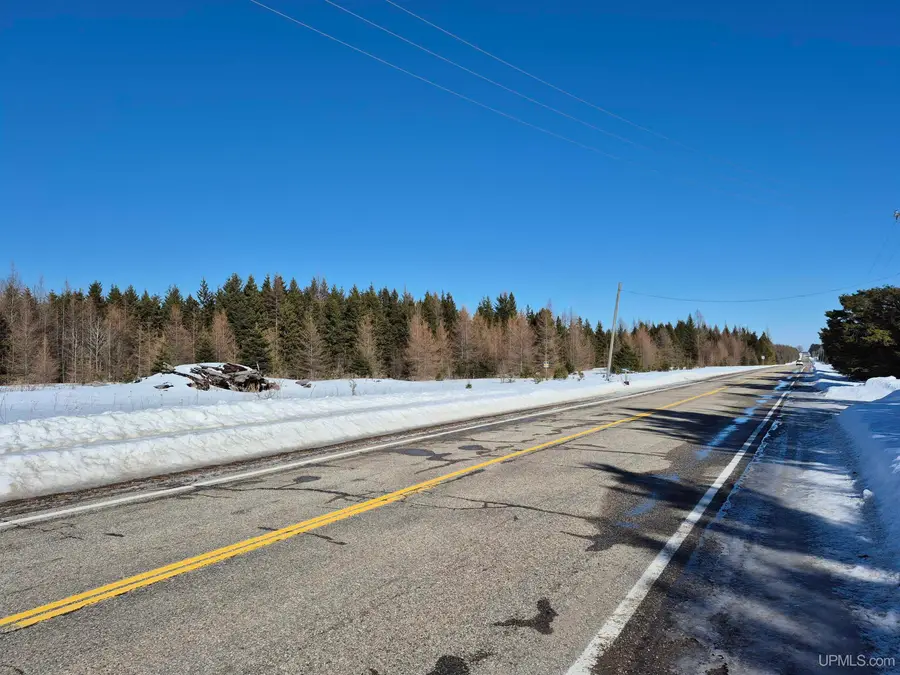 W 80 Acres River, Gulliver, MI 49840 - #3