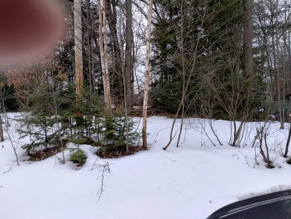 991 Pocahontas, Harrison, MI 48625