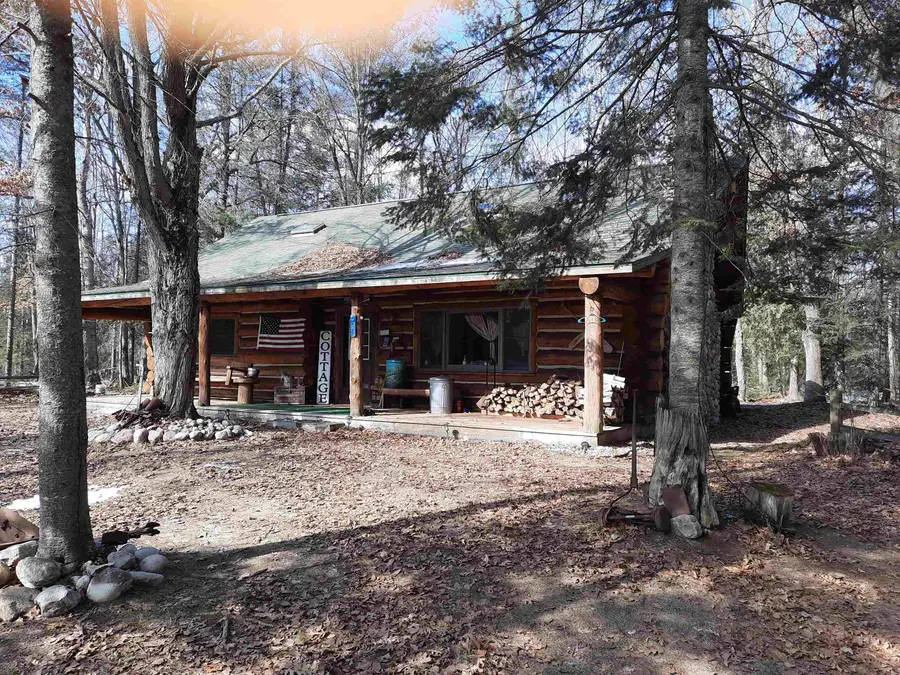 4720 E Nestel, Saint Helen, MI 48656 - #2