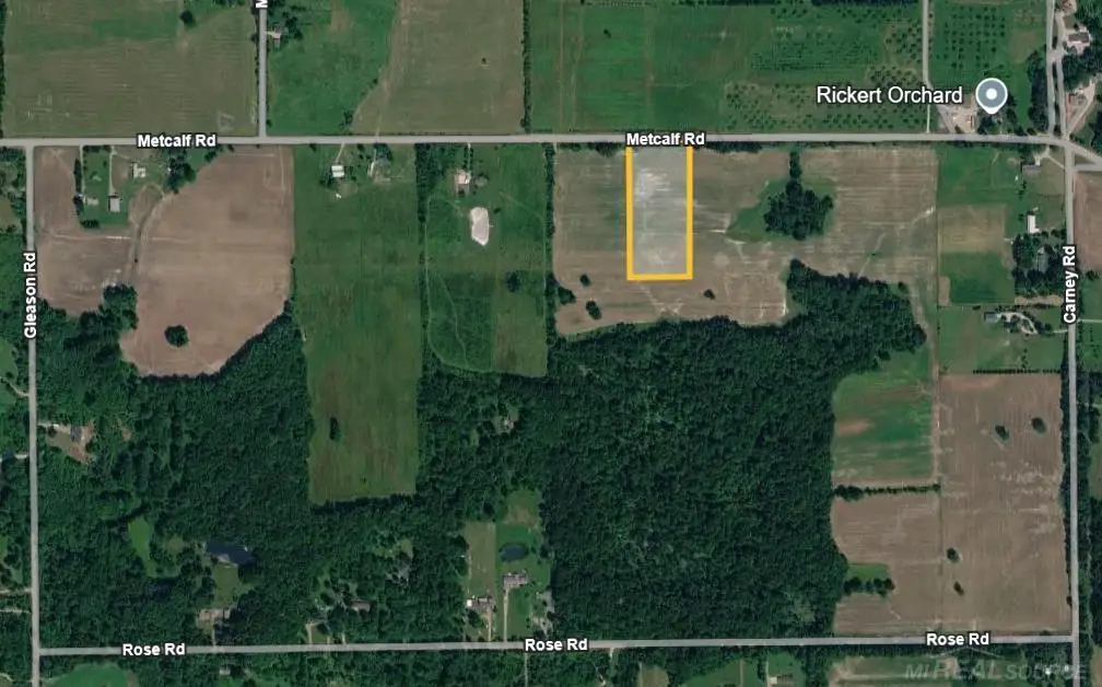 V/L Metcalf Road, Emmett, MI 48022 - #1