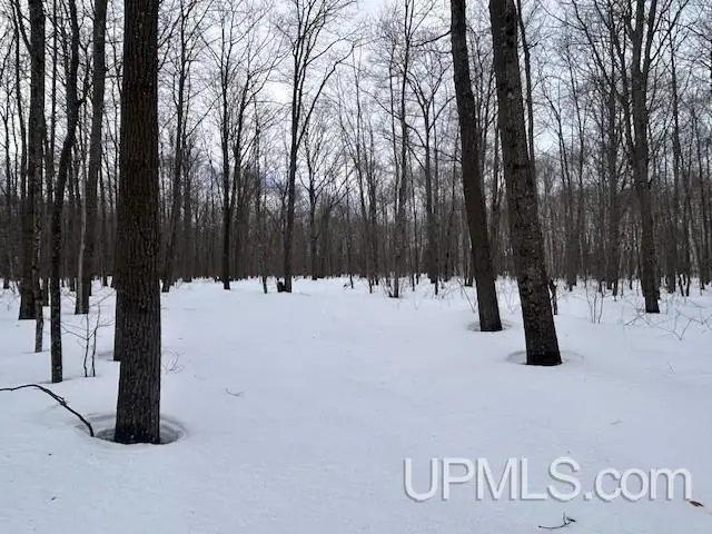 53554 N N Superior, Houghton, MI 49931 - #1