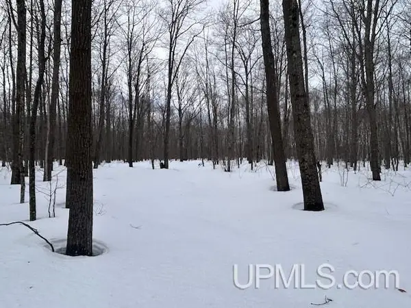 53554 N N Superior, Houghton, MI 49931