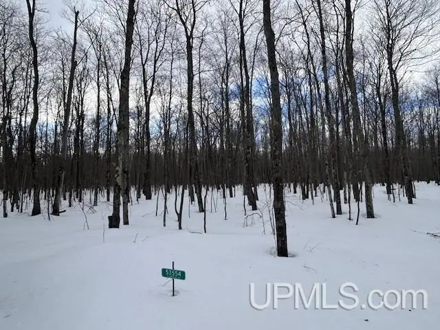 53554 N N Superior, Houghton, MI 49931 - #3
