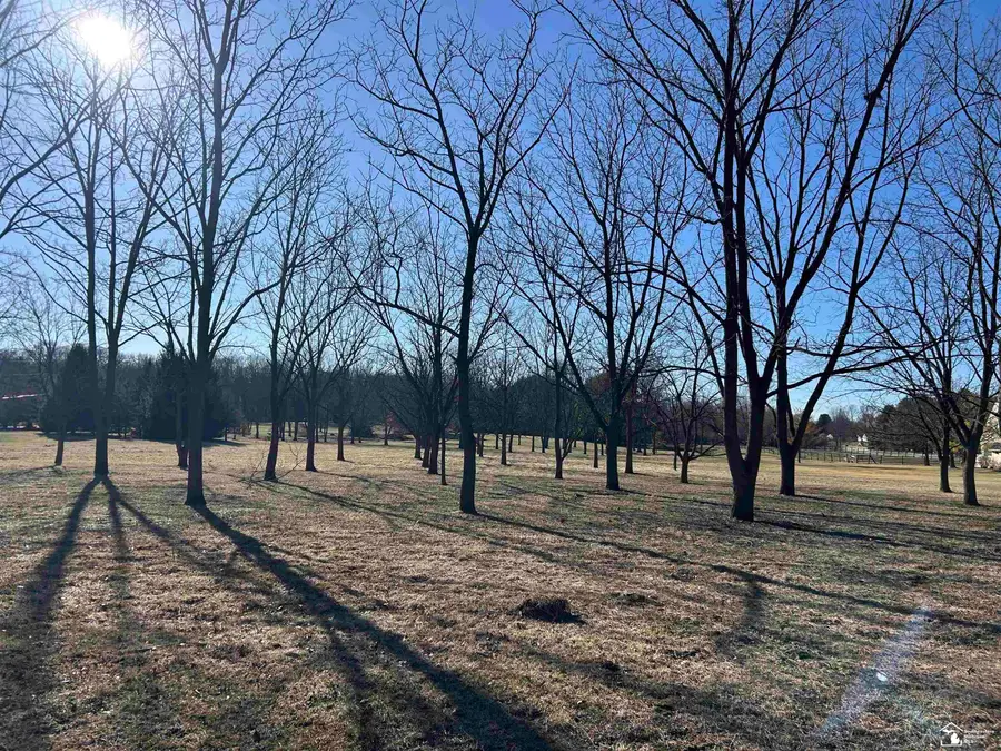 0 Jackman Lots 1 And 2, Temperance, MI 48182 - #2