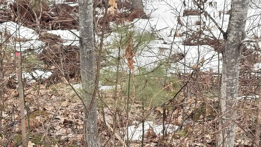 Parcel A-2 W Lily Lake, Harrison, MI 48625 - #3