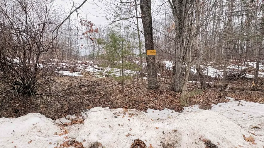 Parcel A-3 Harding, Harrison, MI 48625 - #2