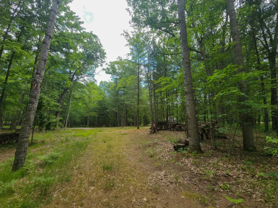 4537 Pine Run, Farwell, MI 48622 - #2