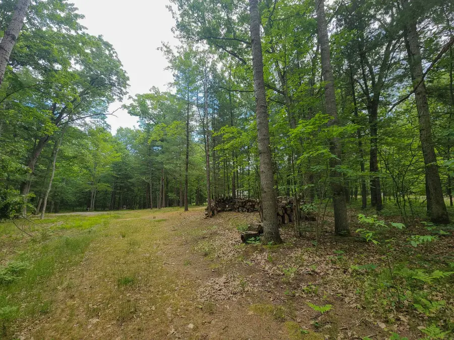 4537 Pine Run, Farwell, MI 48622 - #3
