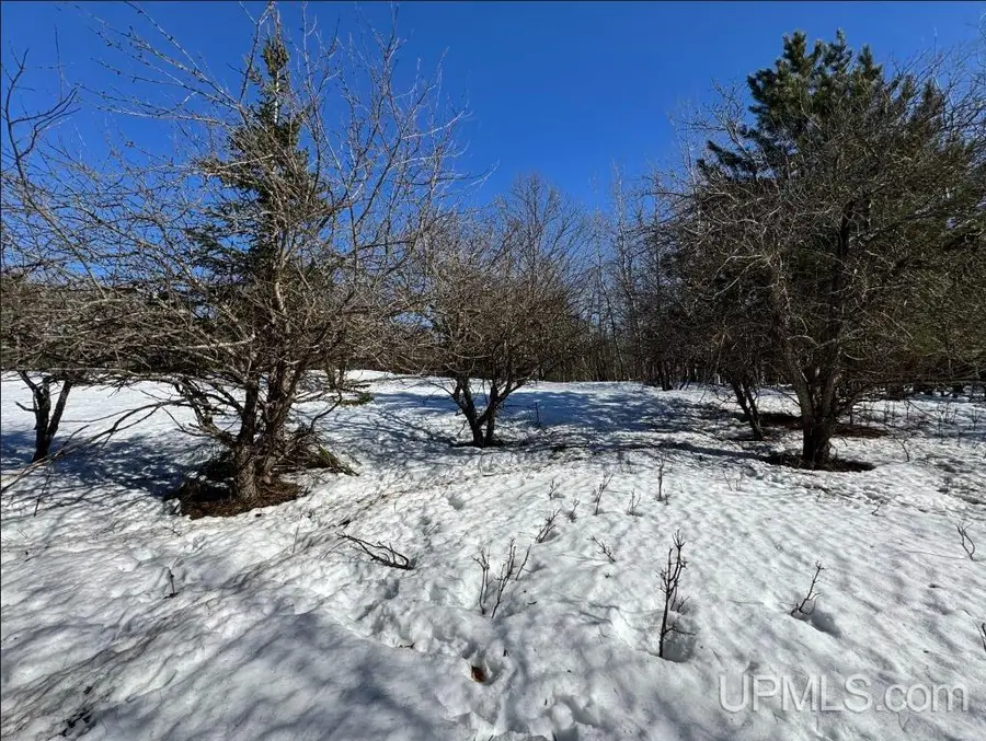 TBD Bellaire, Baraga, MI 49908 - #2