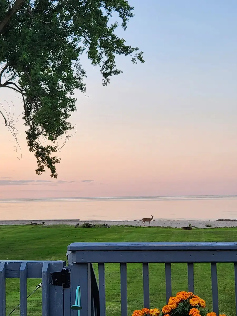 9 Bay Shore, Bay City, MI 48706 - #3