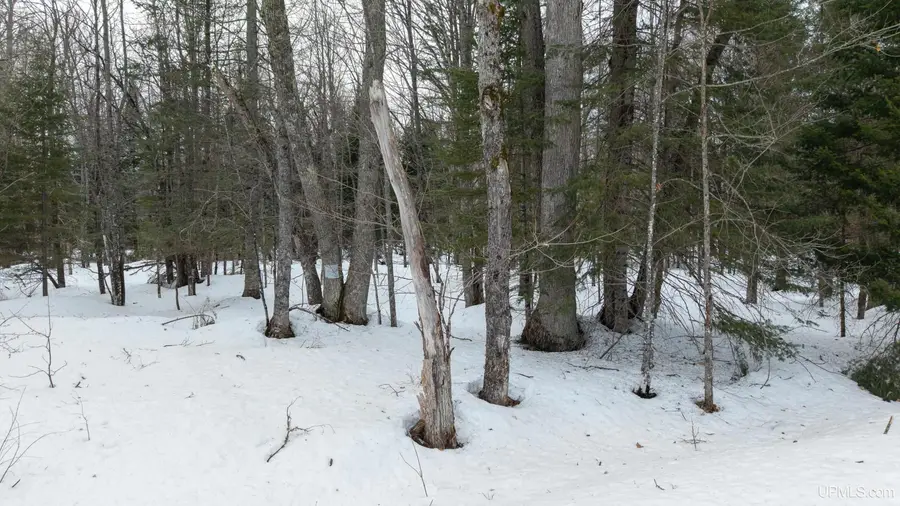 TBD Co Rd Ri, Rock, MI 49880 - #2