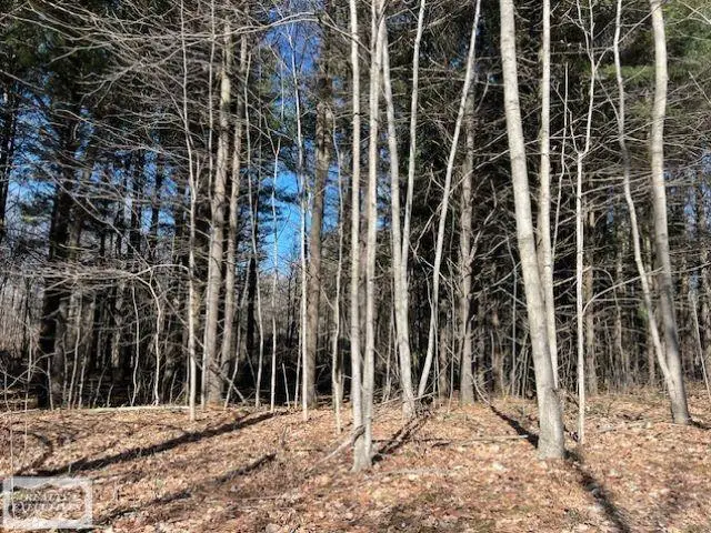 0 Burton, Mussey, MI 48014 - #2