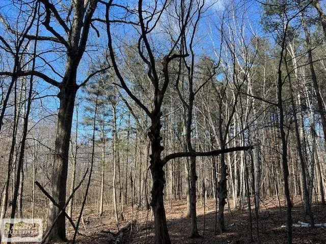 0 Burton, Mussey, MI 48014 - #3