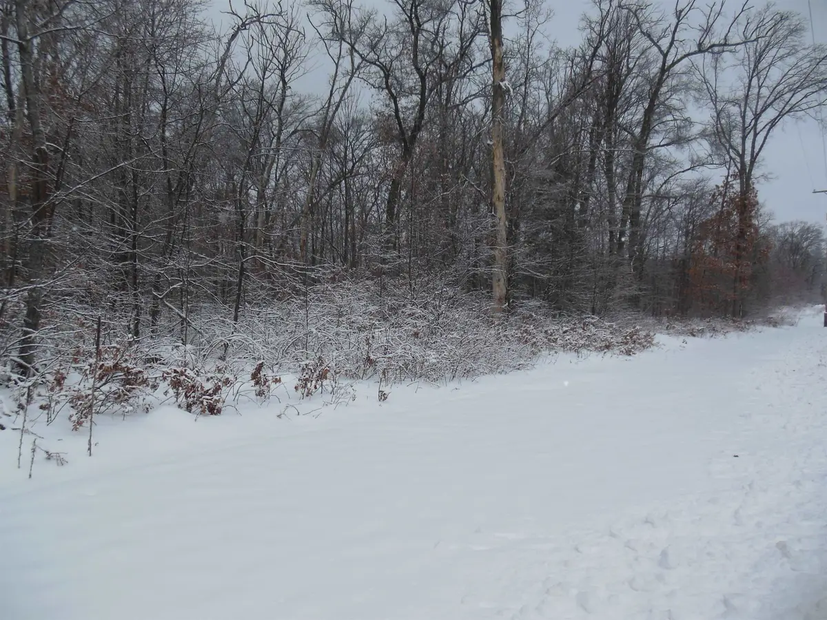 10 Acres N Eberhart, Harrison, MI 48625 - #1