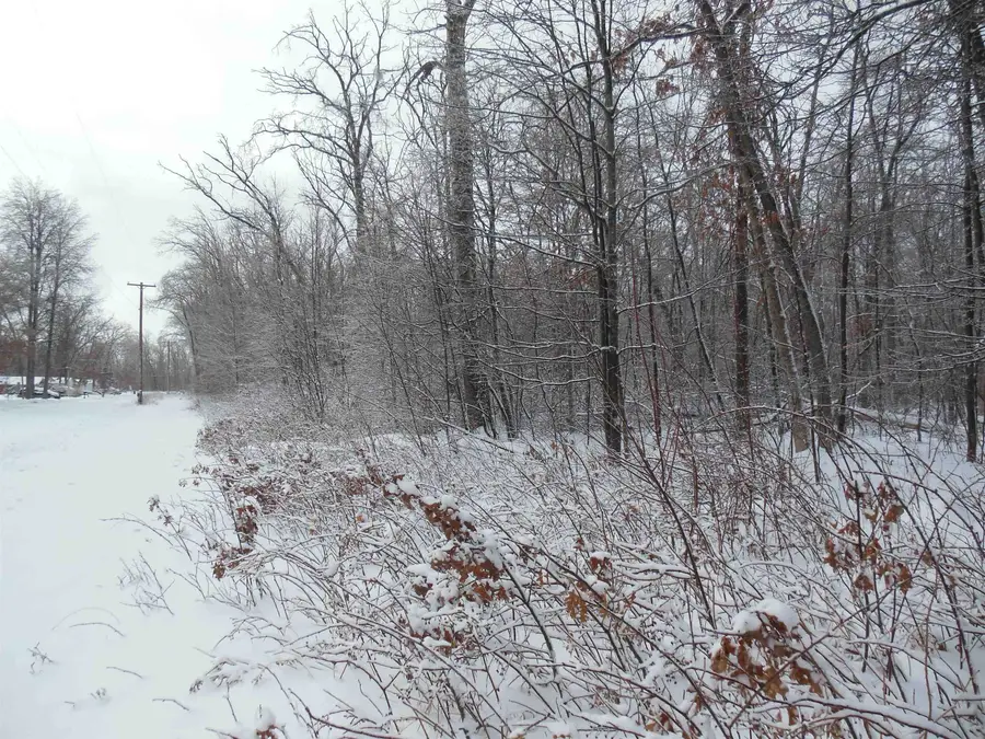 10 Acres N Eberhart, Harrison, MI 48625 - #2