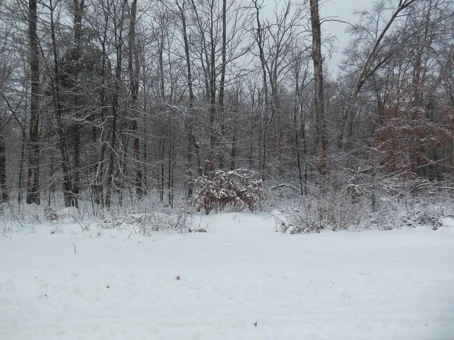 10 Acres N Eberhart, Harrison, MI 48625 - #3