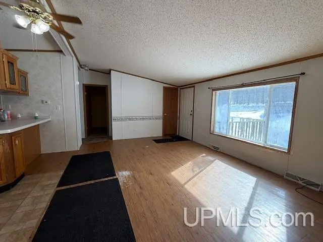 101 Hill Farm, Crystal Falls, MI 49920 - #3