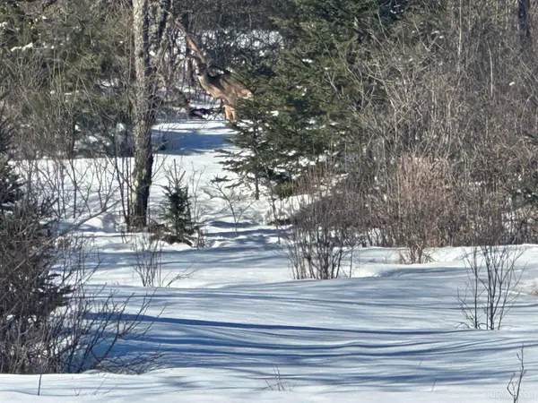 530 Lind, Crystal Falls, MI 49920