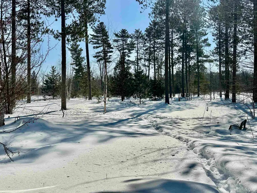 272 Timberlane, Marquette, MI 49855 - #2