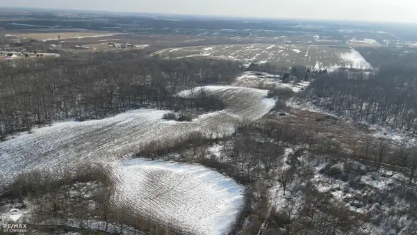 Lovejoy, Perry, MI 48872