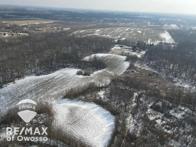 Lovejoy, Perry, MI 48872 - #2