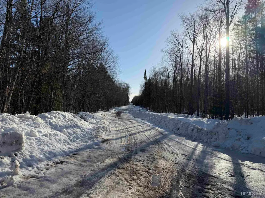 56 Acres Halverson, Skandia, MI 49885 - #2