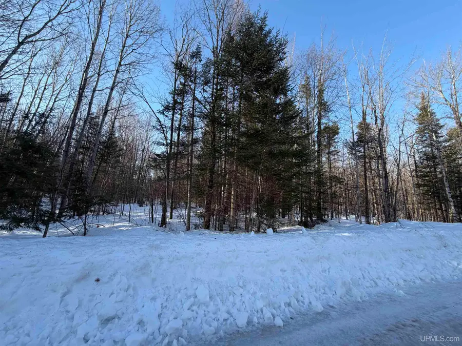 56 Acres Halverson, Skandia, MI 49885 - #3