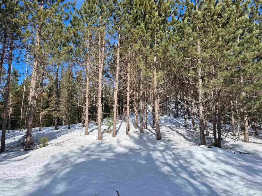 40 Acres Off County Cv, Champion, MI 49814 - #2