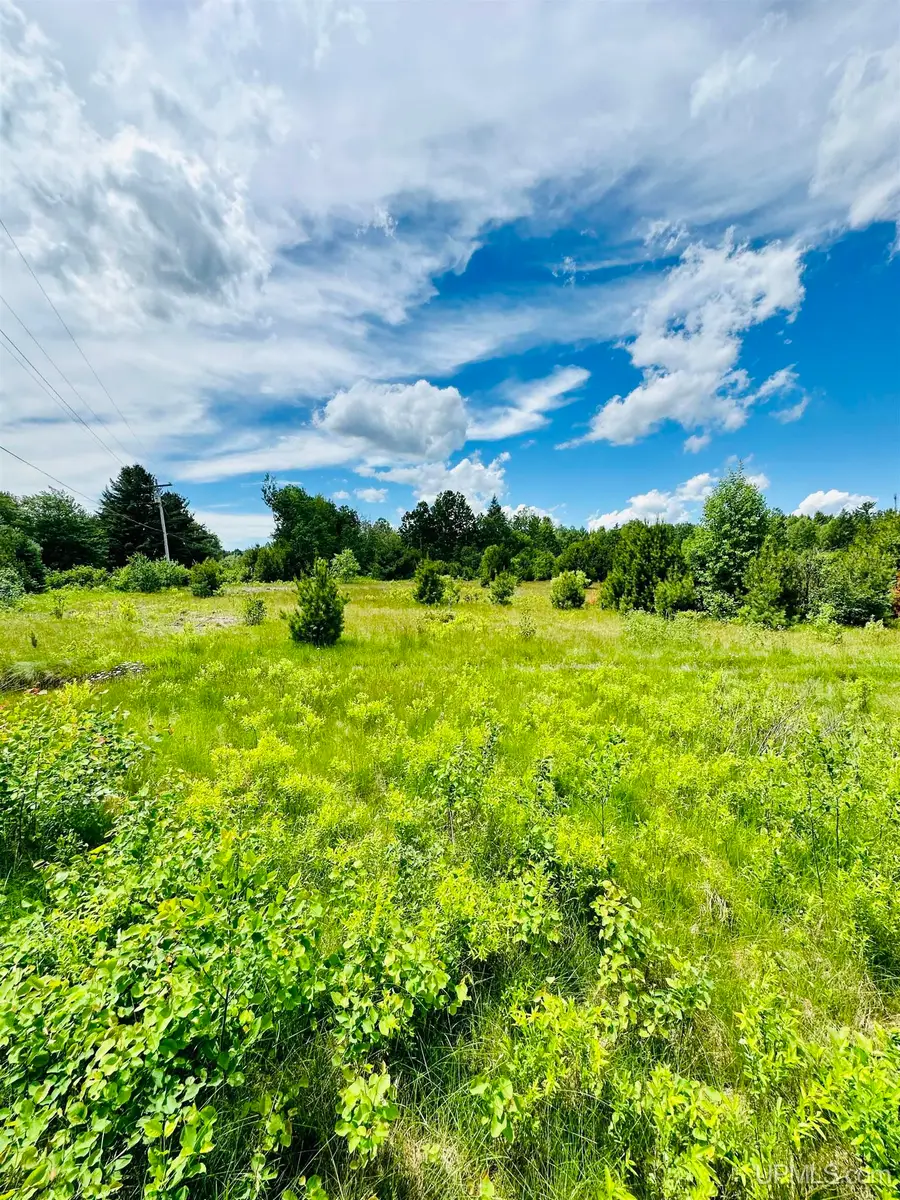 TBD Hawks, Republic, MI 49879 - #3