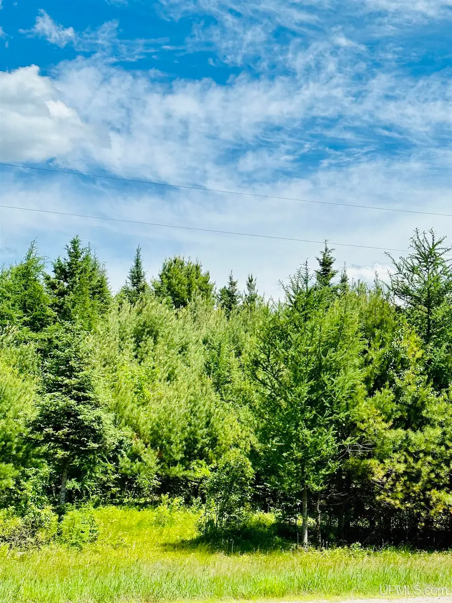 TBD M95, Republic, MI 49879 - #2