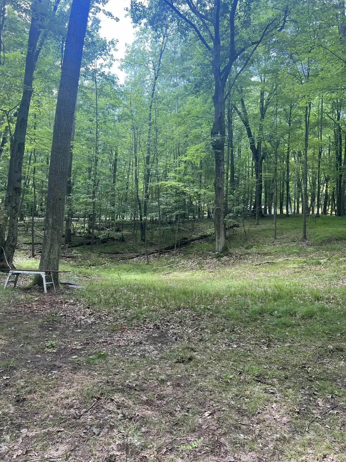 5899 Elm Run, Farwell, MI 48622 - #1