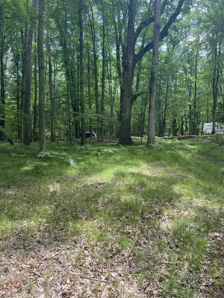 5899 Elm Run, Farwell, MI 48622 - #2