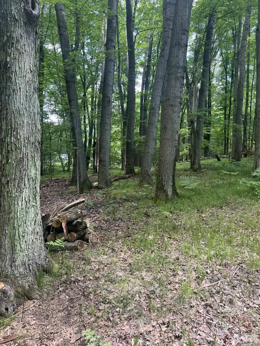 5899 Elm Run, Farwell, MI 48622 - #3