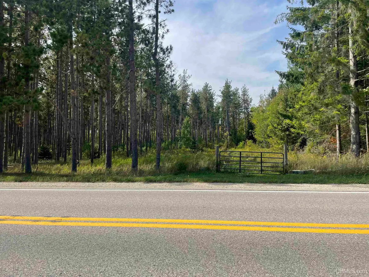 TBD M94, Manistique, MI 49854 - #1